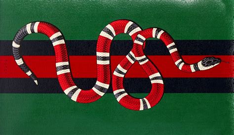 what species of snake is the gucci snake